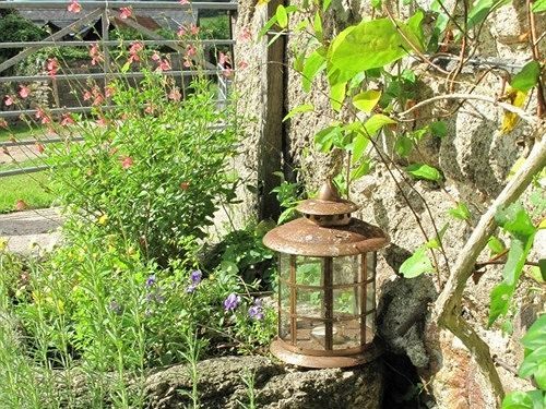 Lowertown Farm B&B Widecombe in the Moor Exterior photo